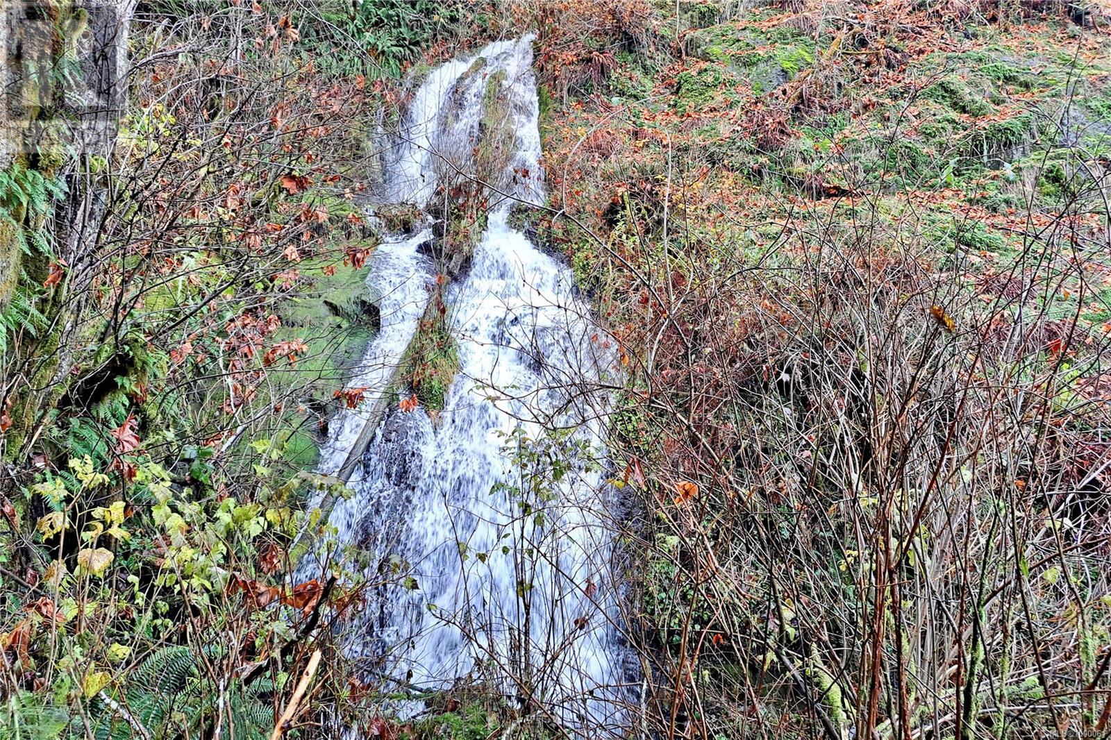 Photo 62 of 1165 Salmon River Main Line, Sayward BC