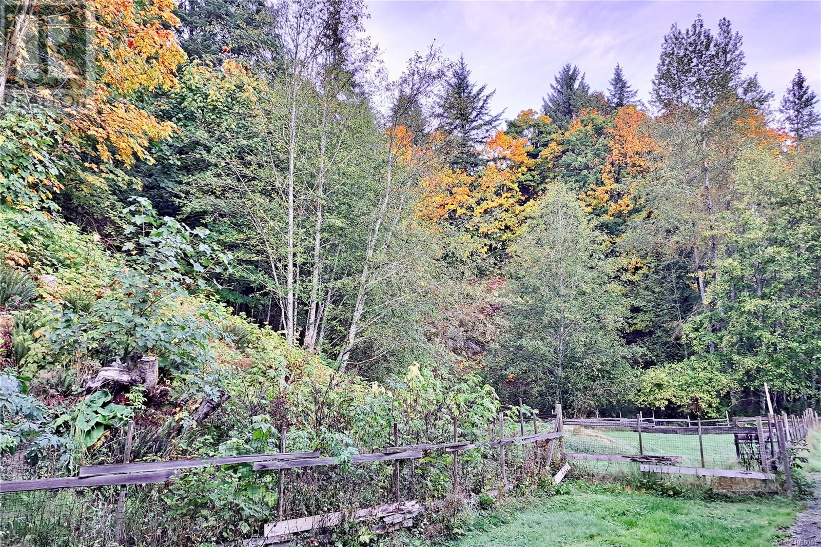 Photo 85 of 1165 Salmon River Main Line, Sayward BC