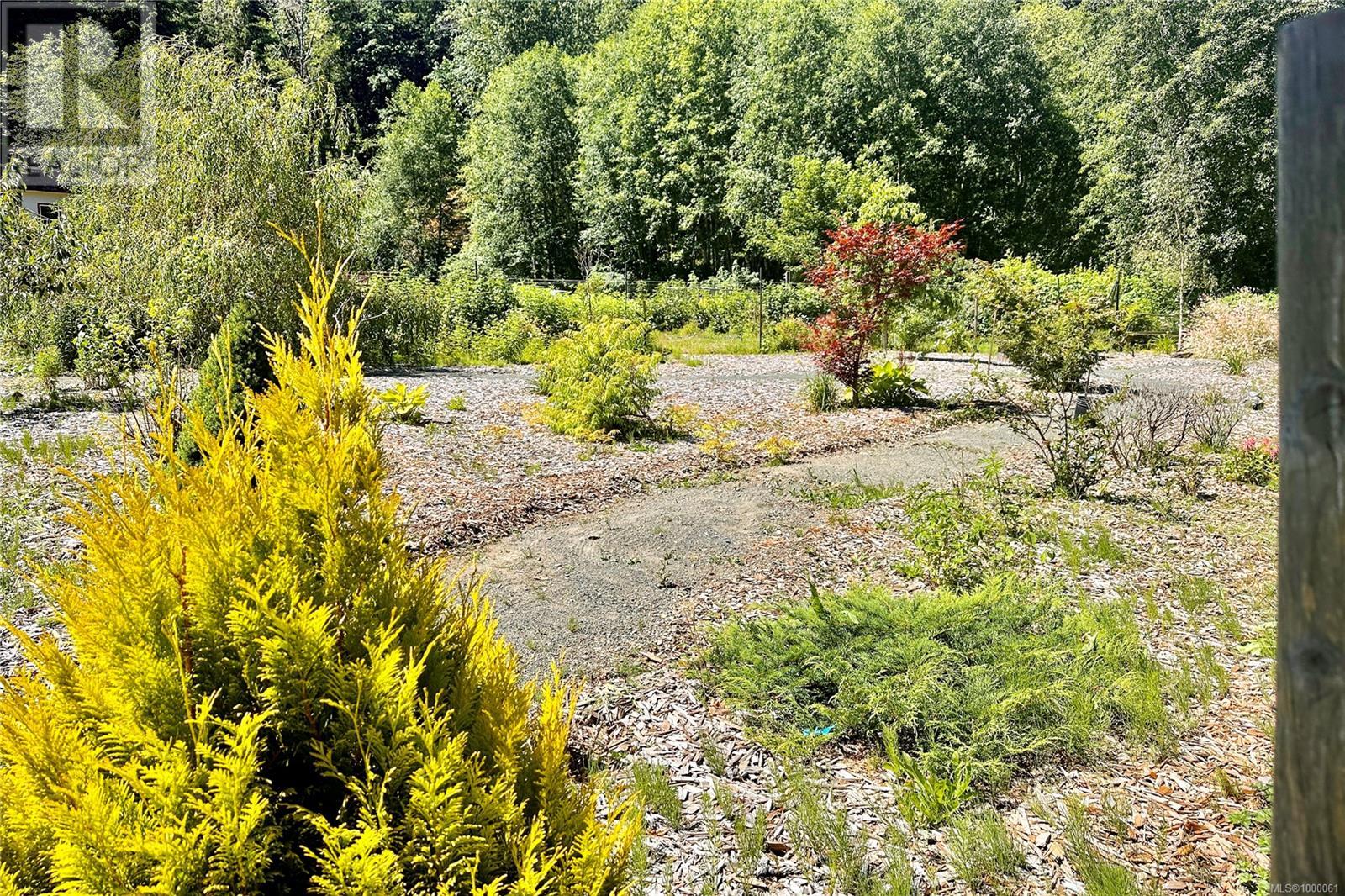 Photo 82 of 1165 Salmon River Main Line, Sayward BC