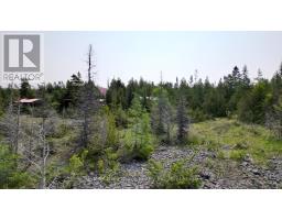 94 Pedwell Pt. Drive, Northern Bruce Peninsula, ON N0H2R0 Photo 18