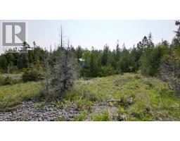 94 Pedwell Pt. Drive, Northern Bruce Peninsula, ON N0H2R0 Photo 19