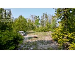 94 Pedwell Pt. Drive, Northern Bruce Peninsula, ON N0H2R0 Photo 22