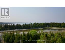 94 Pedwell Pt. Drive, Northern Bruce Peninsula, ON N0H2R0 Photo 23