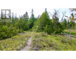 94 Pedwell Pt. Drive, Northern Bruce Peninsula, ON N0H2R0 Photo 20