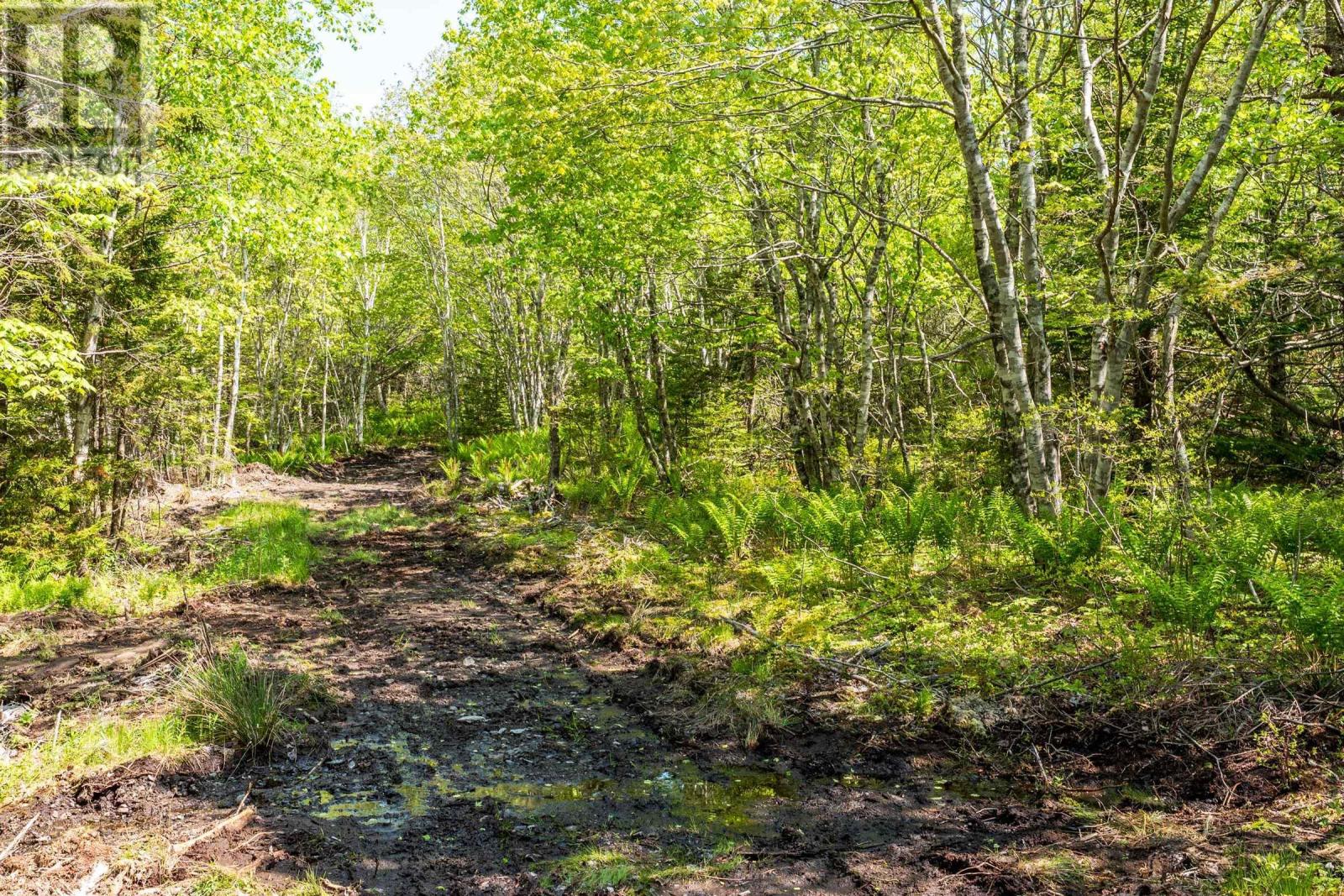 Property 4 of 12 of Lot 101 Highway