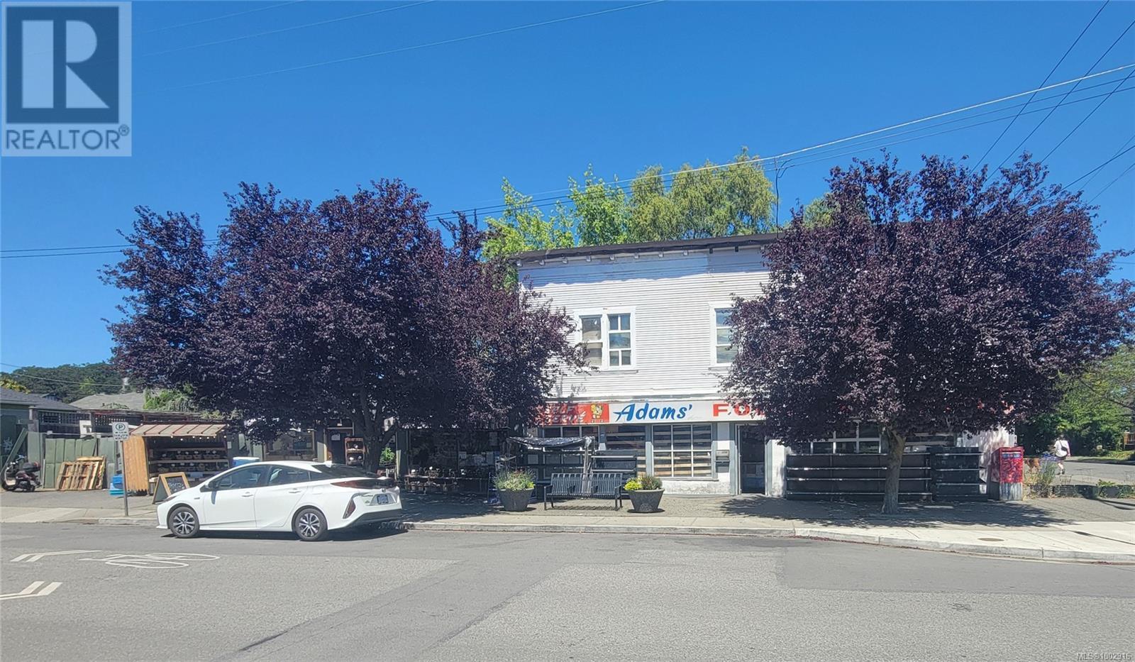  1442 Haultain Street, Victoria
