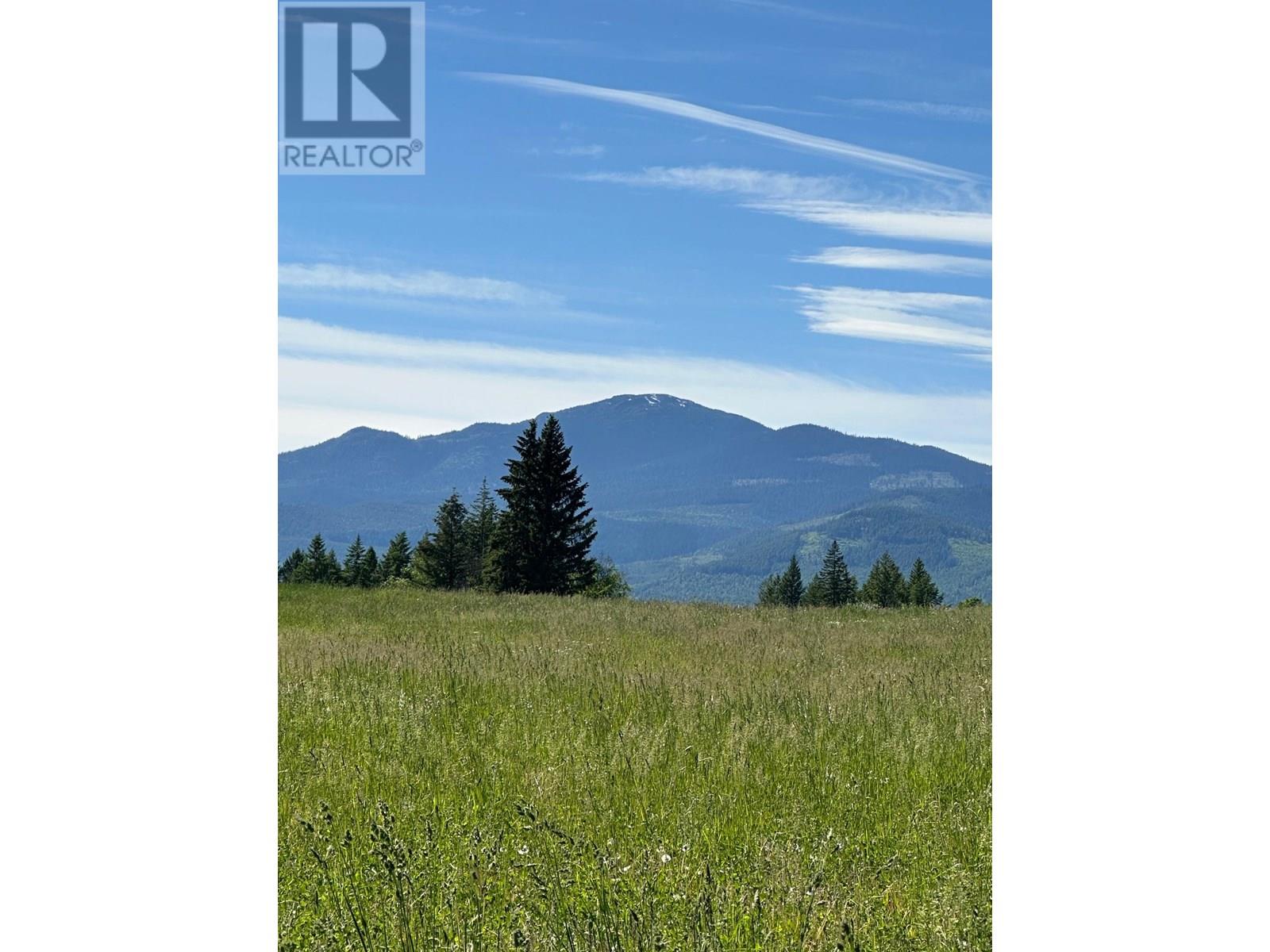 943 RAFT RIVER ROAD - 12