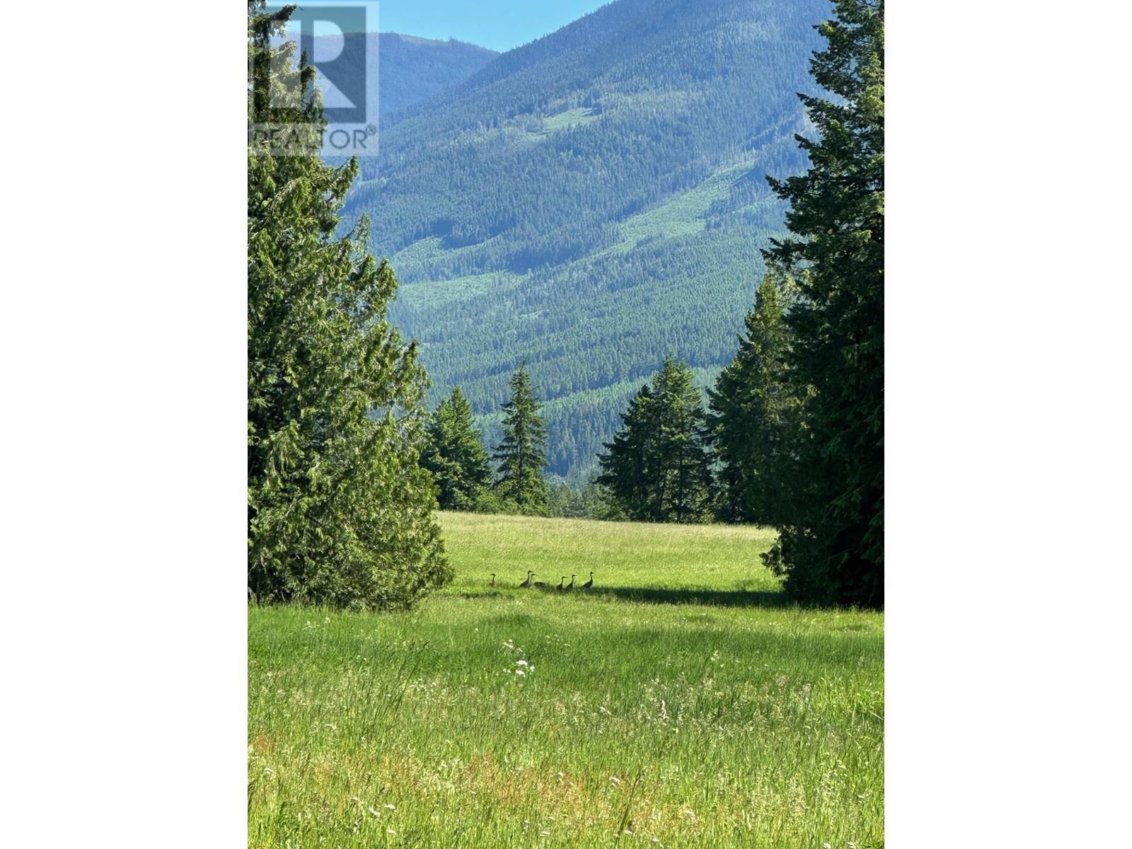 943 RAFT RIVER ROAD - 18