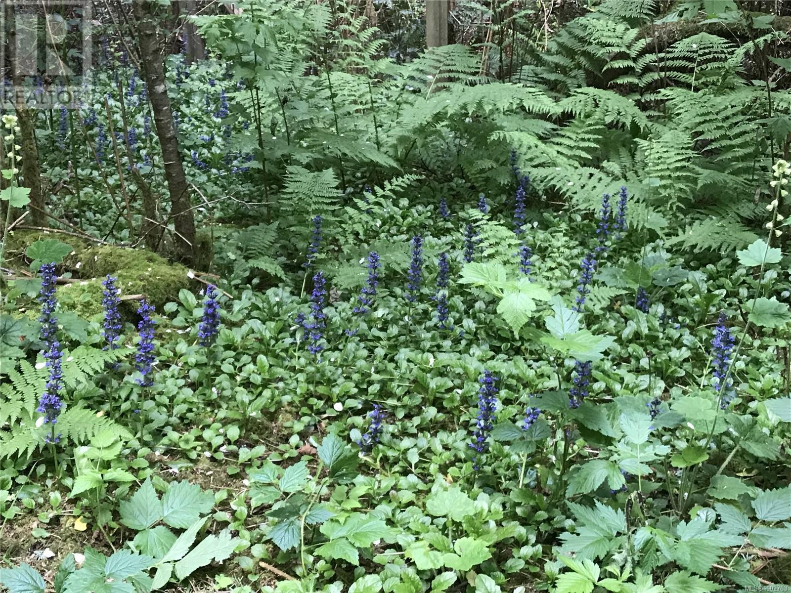 Photo 86 of 2601 Seaside Dr, Sooke BC