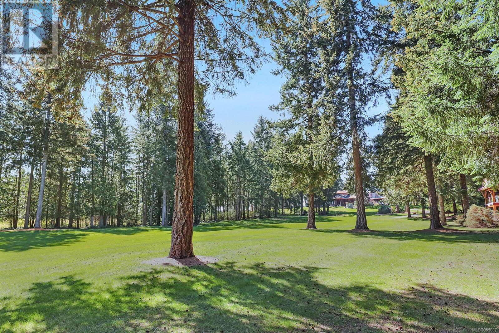 907/908A 366 Clubhouse Dr, Courtenay real estate listing 995607