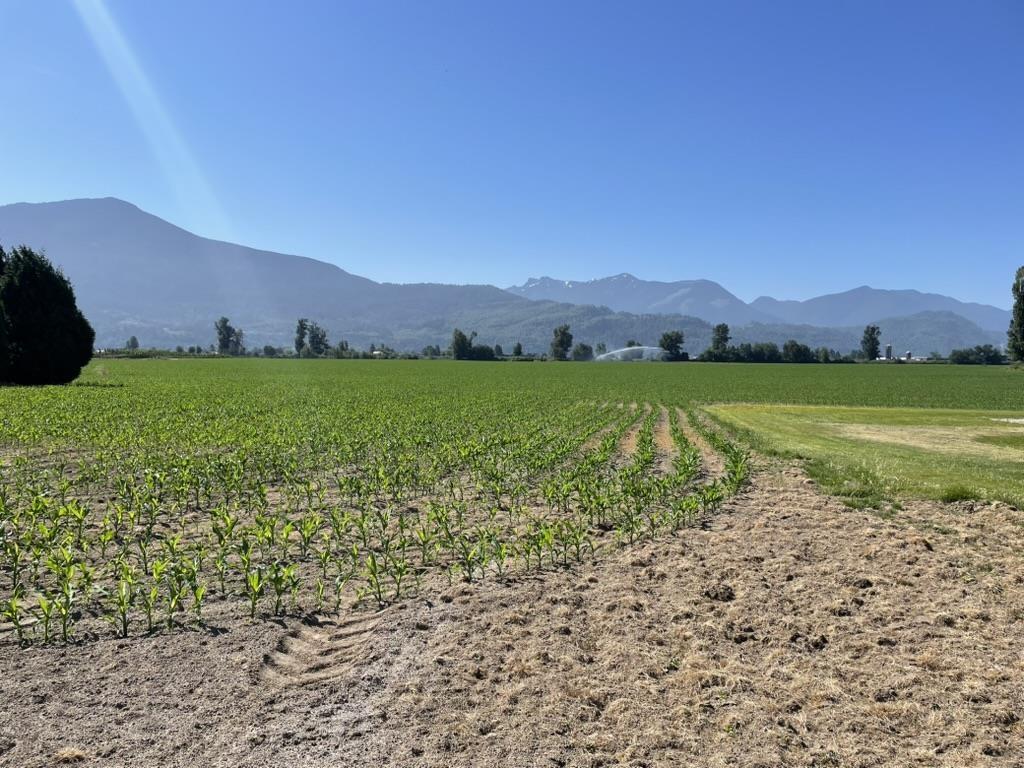 49090 YALE ROAD, East Chilliwack, Chilliwack real estate listing R2970492