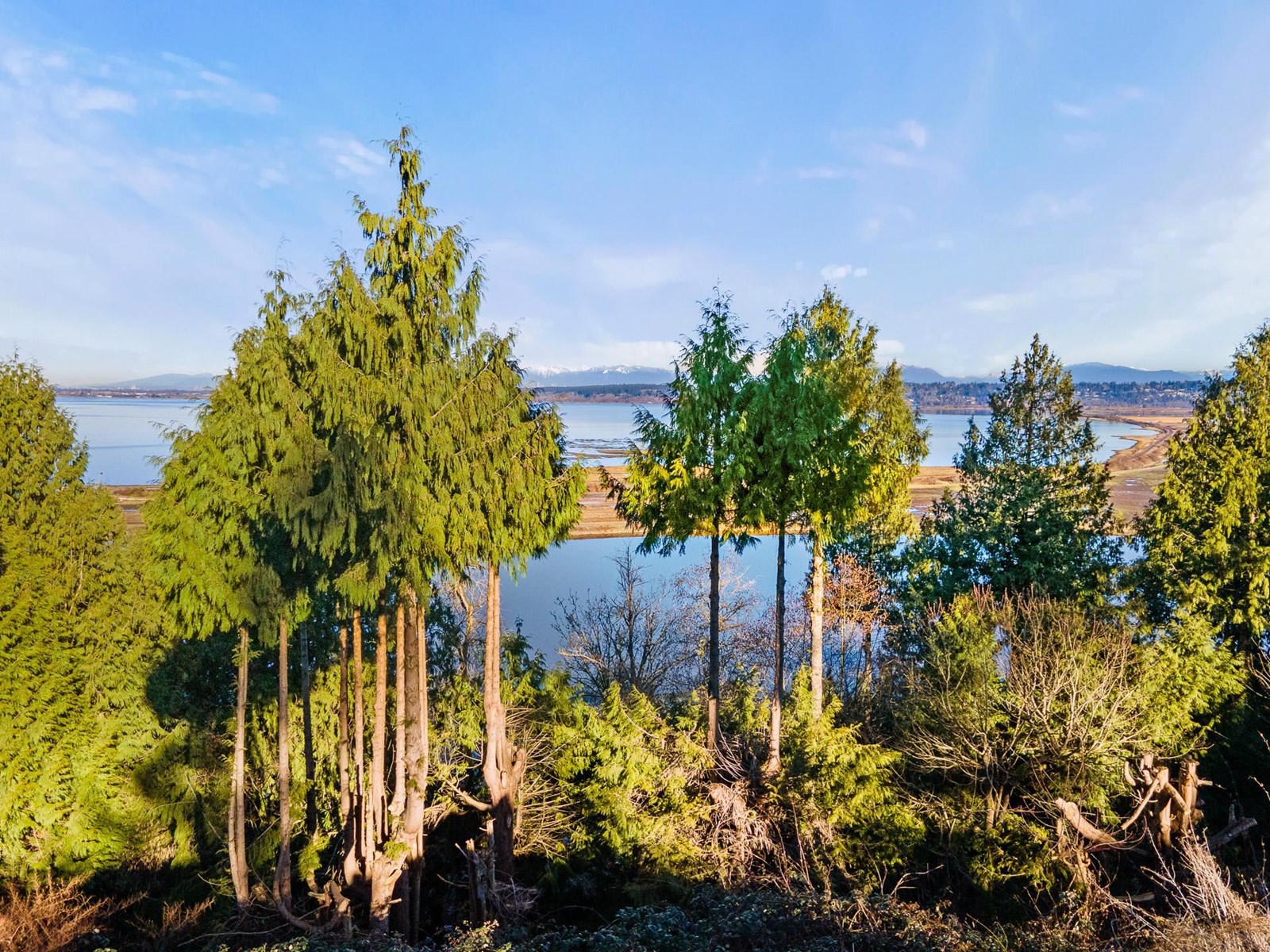 Photo 4 of 13021 Crescent Road, Surrey BC
