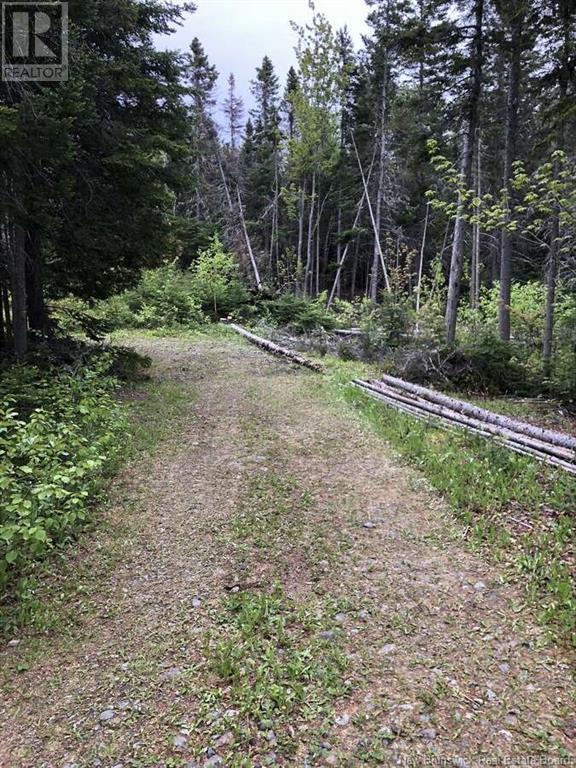 Photo 11 of 0 Mercier Road, New Mills NB