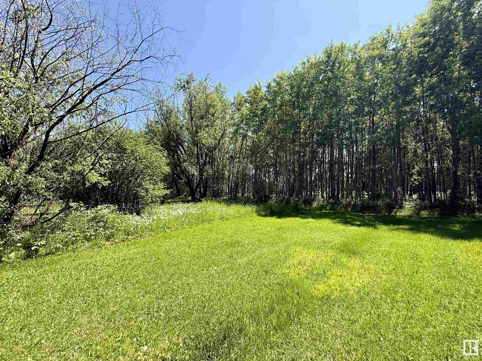 Photo 15 of 507 Lakeshore Drive Buck Lake, Rural Wetaskiwin County AB