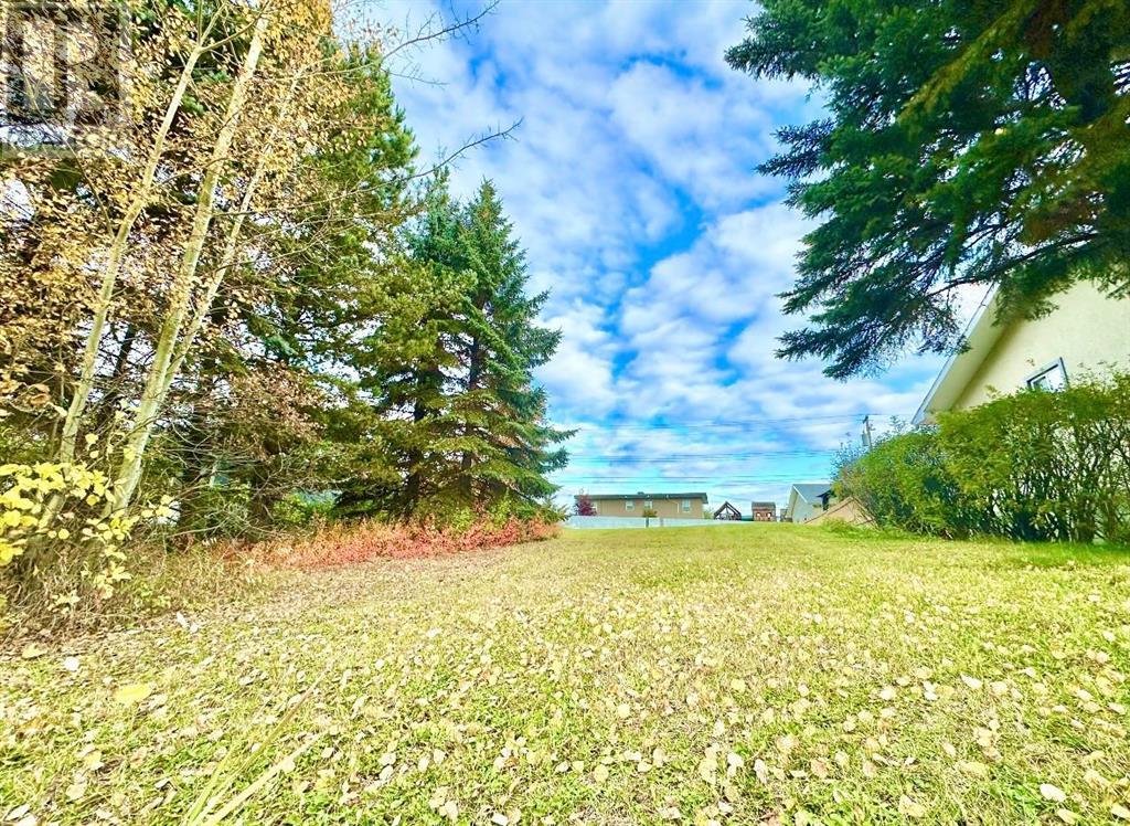10316 103 Ave, Lac La Biche