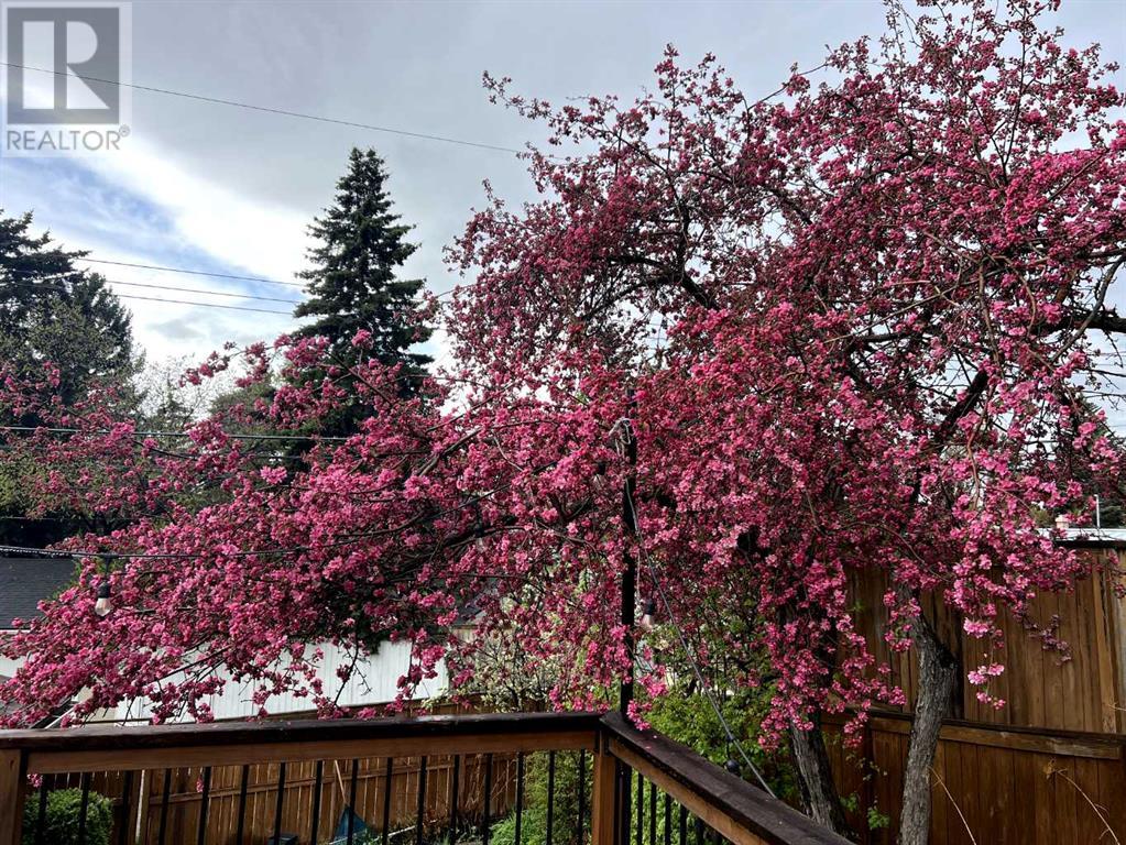 Single Family House Bungalow for Sale in  Brisebois Drive NW Brentwood Calgary 