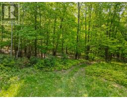 1086 Lake Street, Willisville, ON P5E0A6 Photo 70