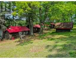 1086 Lake Street, Willisville, ON P5E0A6 Photo 77