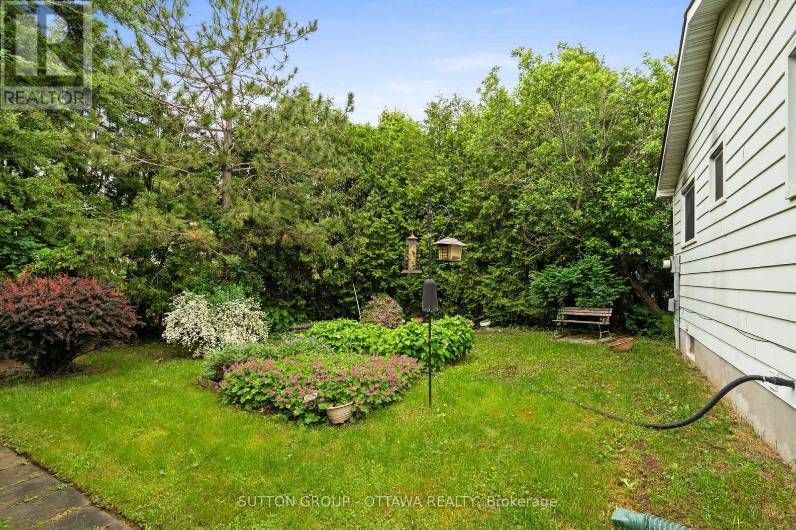 back yard