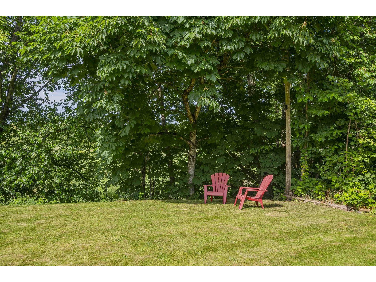 Photo 40 of 5078 199 A Street, Langley BC