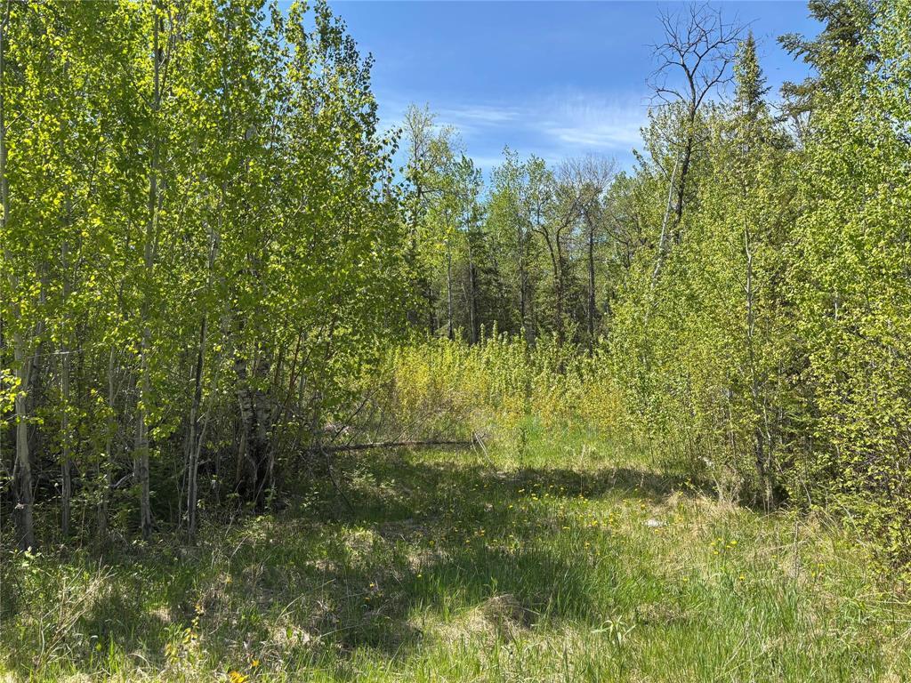 Photo 6 of 23 Birch Haven, Victoria Beach MB