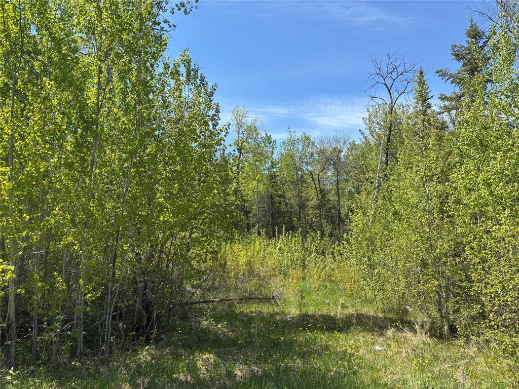 Photo 5 of 23 Birch Haven, Victoria Beach MB