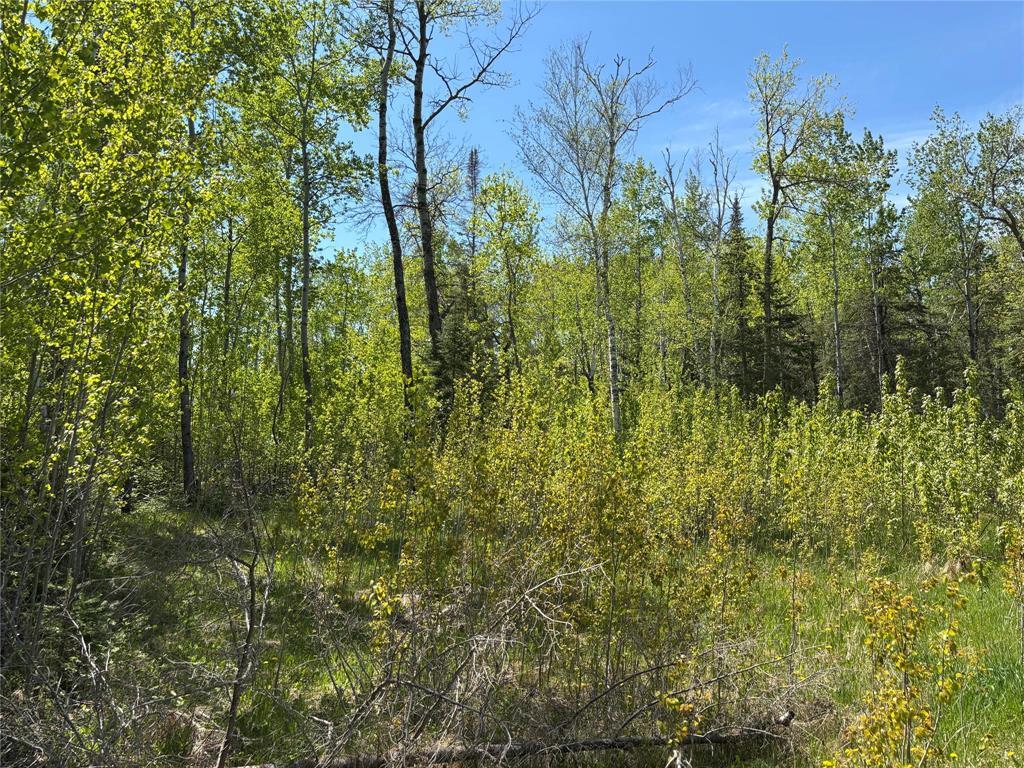 Photo 8 of 23 Birch Haven, Victoria Beach MB