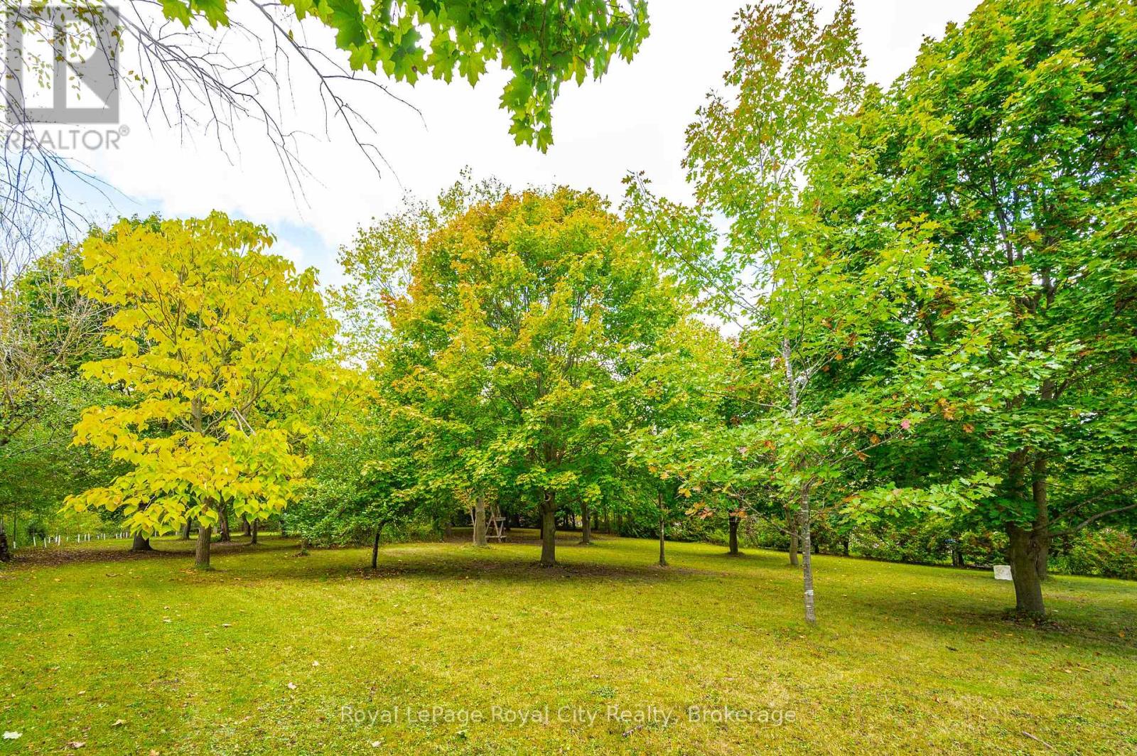 Photo 5 of 23 A Gilkison Street, Centre Wellington ON
