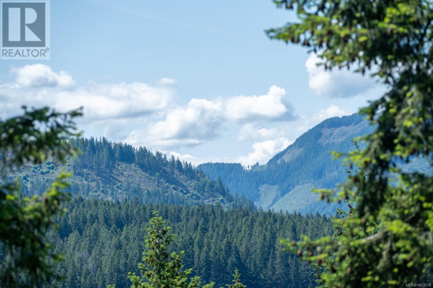 Photo 55 of 7454 Teal Crt, Lake Cowichan BC