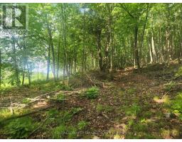 1680 Calabogie Road, Mcnab/braeside, ON K0A1G0 Photo 10
