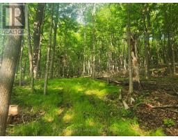 1680 Calabogie Road, Mcnab/braeside, ON K0A1G0 Photo 11