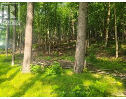 1680 Calabogie Road, Mcnab/braeside, ON K0A1G0 Photo 12