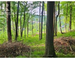 1680 Calabogie Road, Mcnab/braeside, ON K0A1G0 Photo 6