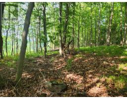1680 Calabogie Road, Mcnab/braeside, ON K0A1G0 Photo 7