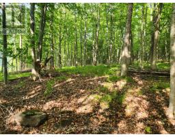 1680 Calabogie Road, Mcnab/braeside, ON K0A1G0 Photo 8