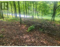 1680 Calabogie Road, Mcnab/braeside, ON K0A1G0 Photo 9