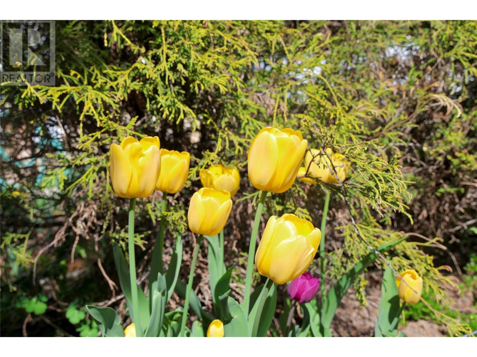 3361 & 3365 95 HIGHWAY - 20