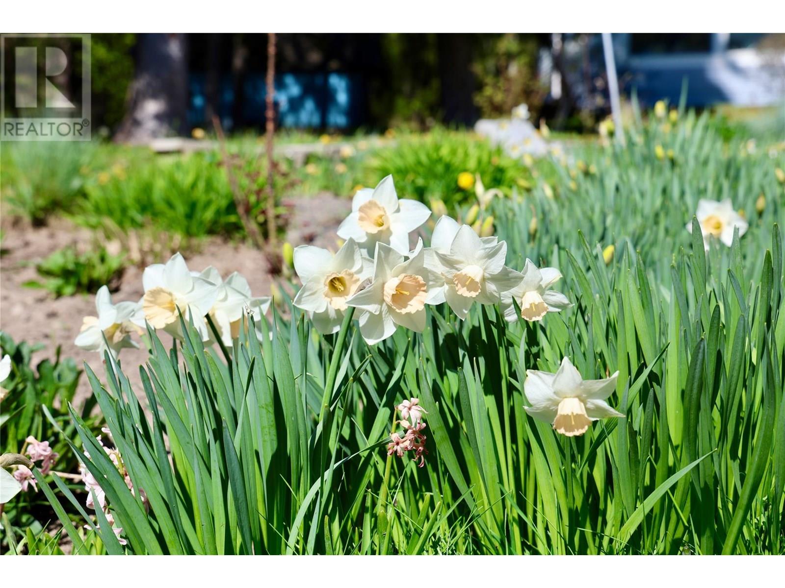 3361 & 3365 95 HIGHWAY - 26