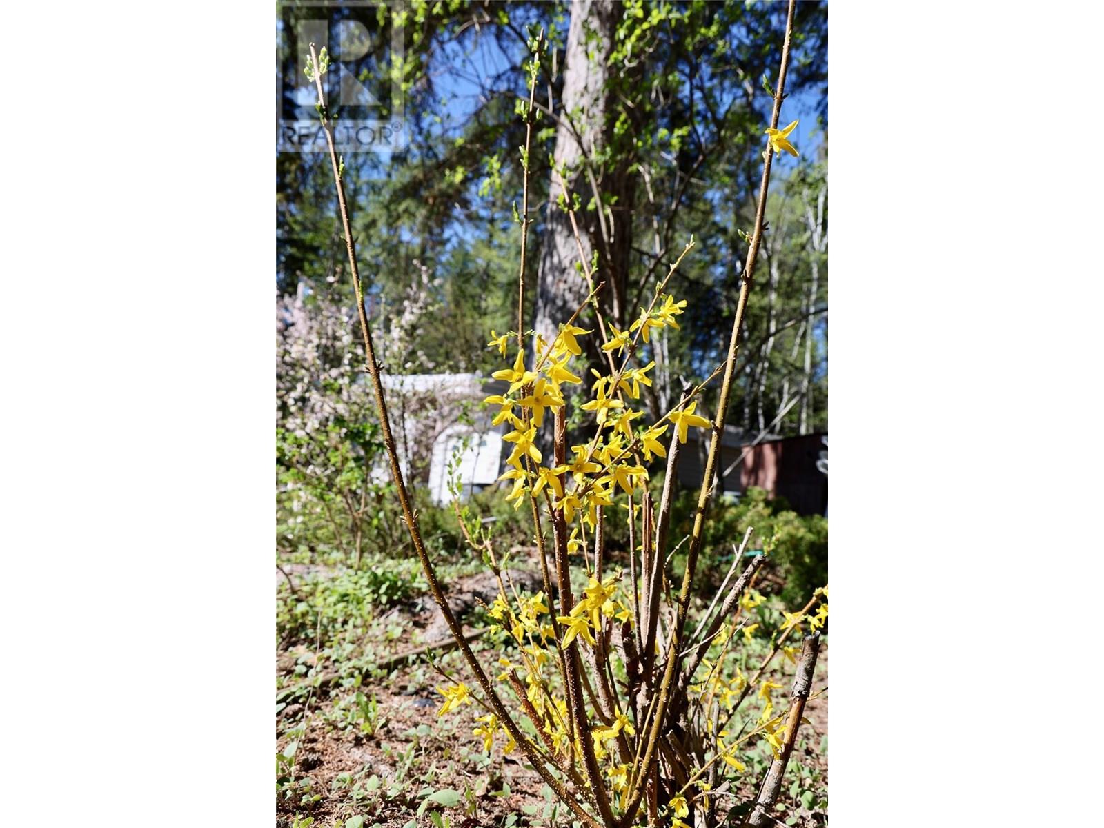 3361 & 3365 95 HIGHWAY - 18