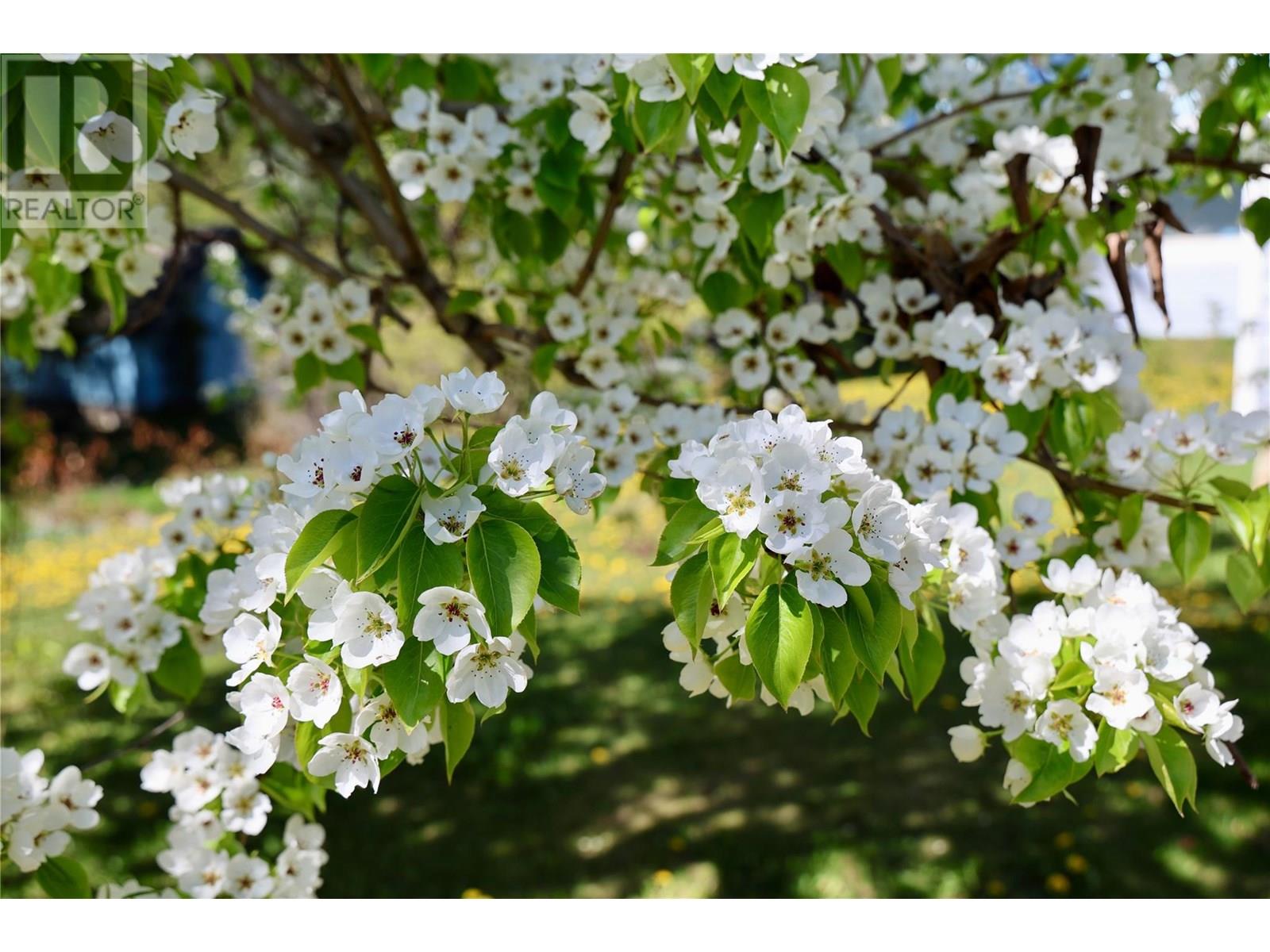 3361 & 3365 95 HIGHWAY - 16