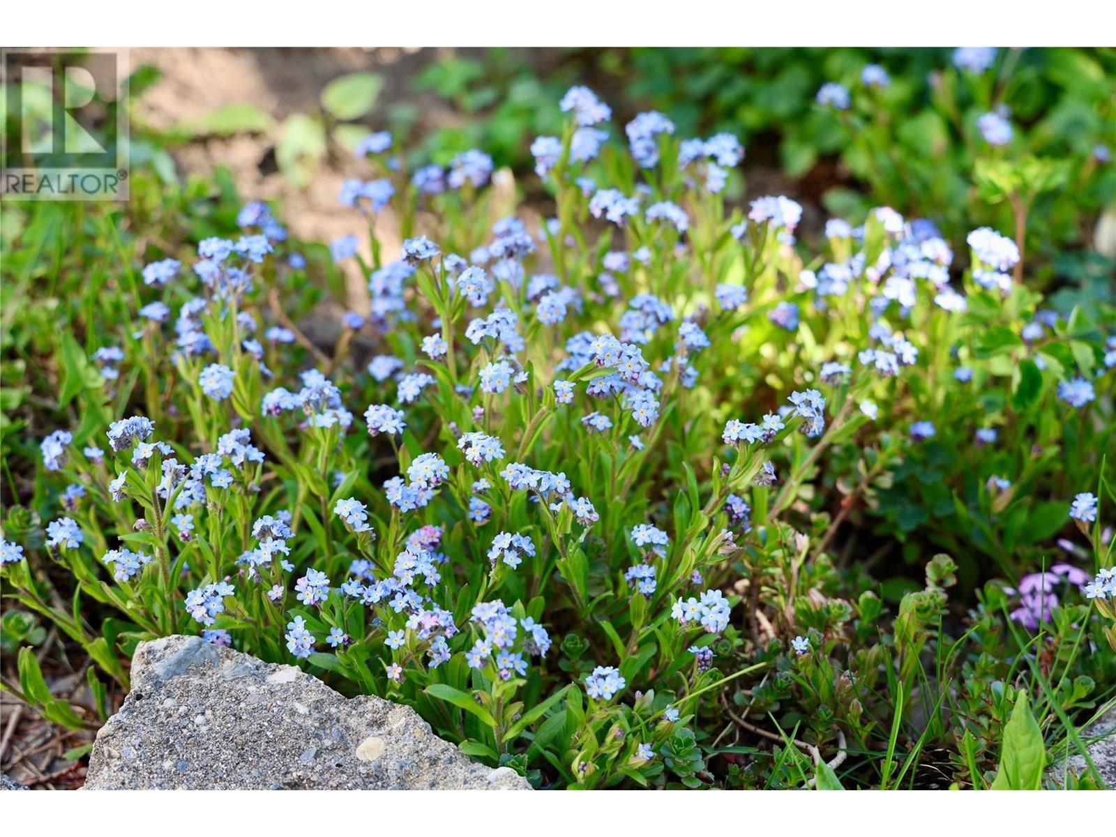 3361 & 3365 95 HIGHWAY - 23