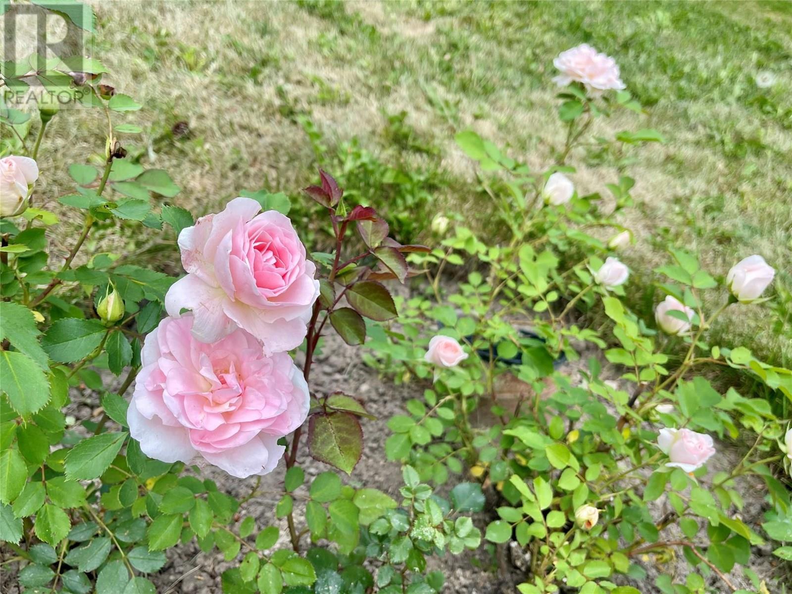 3361 & 3365 95 HIGHWAY - 21