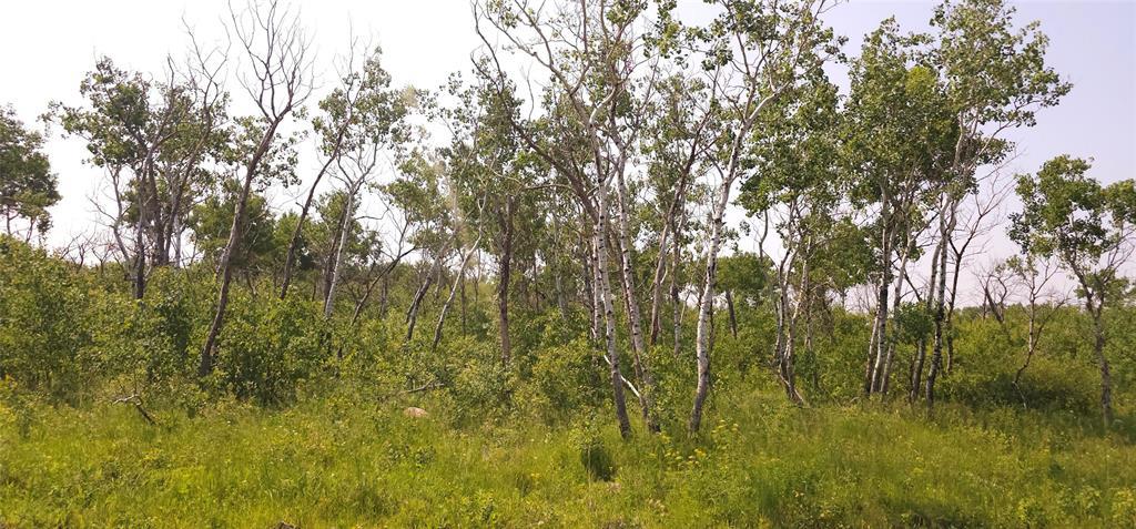 Photo 4 of 0 Appleton Drive, St Malo MB