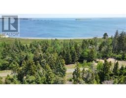 Lot 21-02 Bancroft Point Road, Grand Manan, NB E5G3C9 Photo 7
