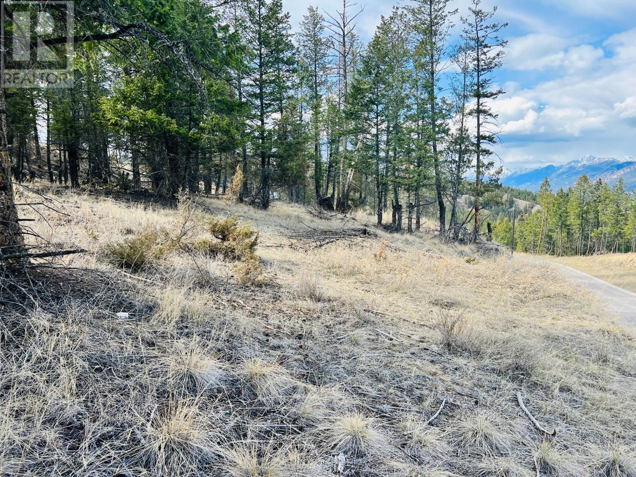 Photo 3 of Lot 48 Pine Ridge Mountain Lane, Invermere BC