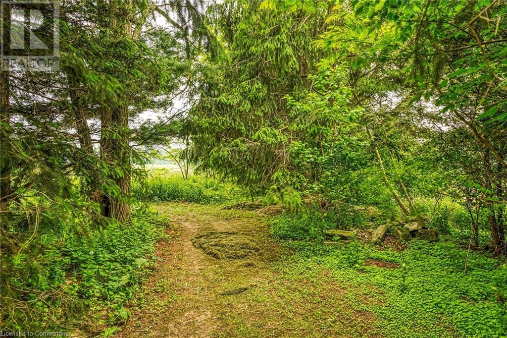 Photo 13 of 281 Big Creek Road, Caledonia ON