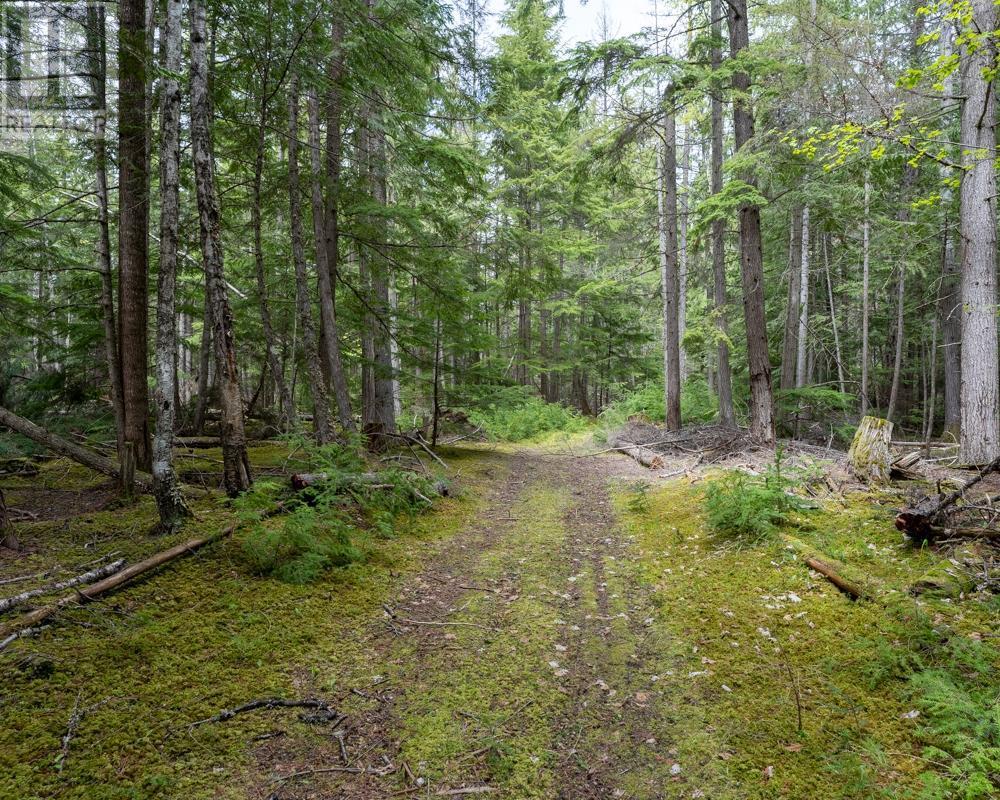 Photo 69 of 7717 North Kootenay Lake Unit 10 A 11 11 A, Kaslo BC