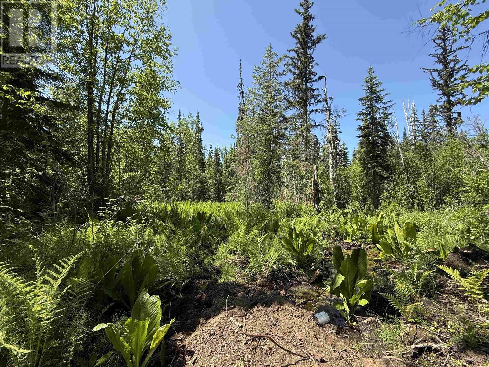 24151 RIVER ROAD, Smithers