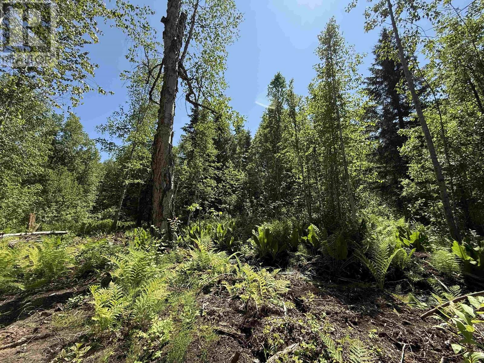 24151 RIVER ROAD, Smithers