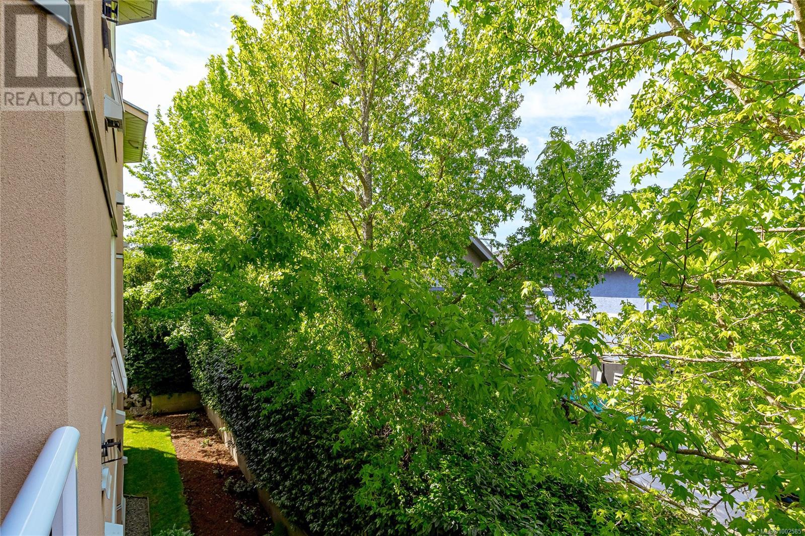 #307 1519 HILLSIDE AVE - Image 26